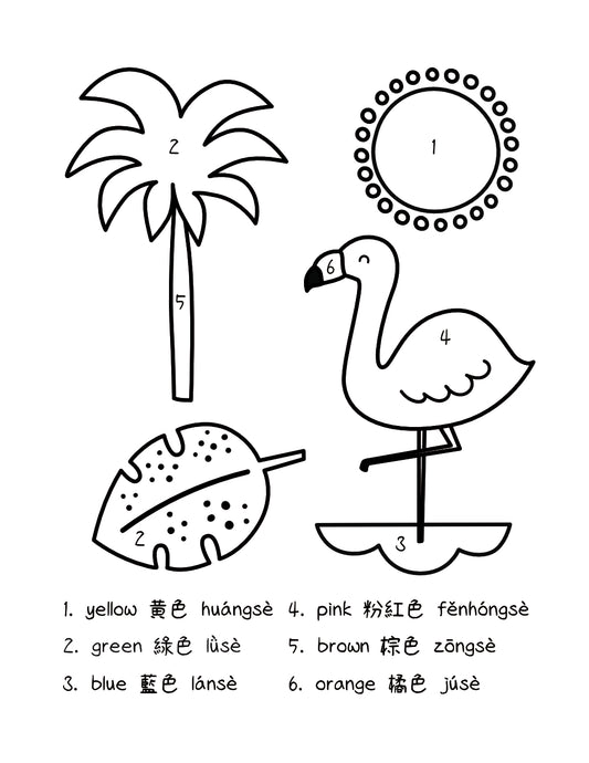 Summer flamingo, with leaves, tree, and sun coloring page with colors in Chinese and English.