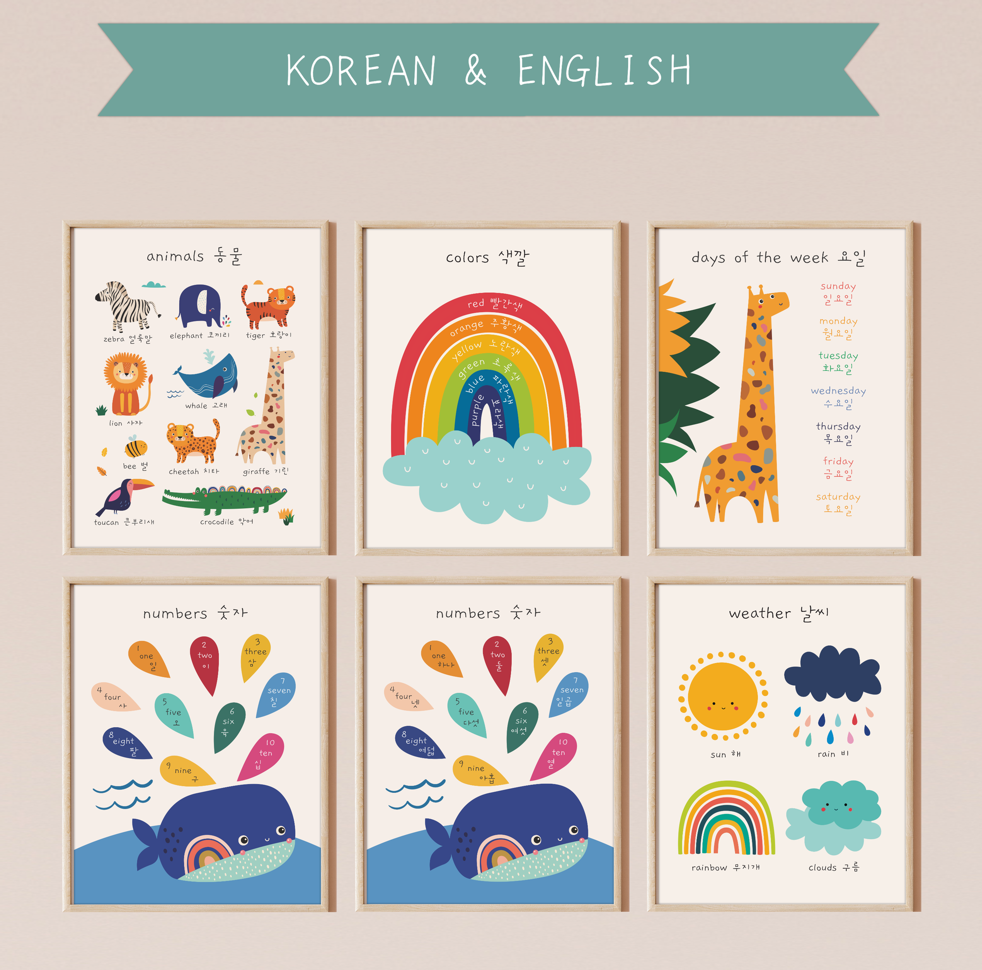Five bilingual educational prints framed in light oak hanging on a pinkish wall featuring cute, colorful illustrations of animals, colors, days of the week, numbers and the weather labeled in English and Korean. This bilingual display aids in language acquisition and cross-cultural learning and has the perfect aesthetic for a baby nursery, classroom, or other decor. 